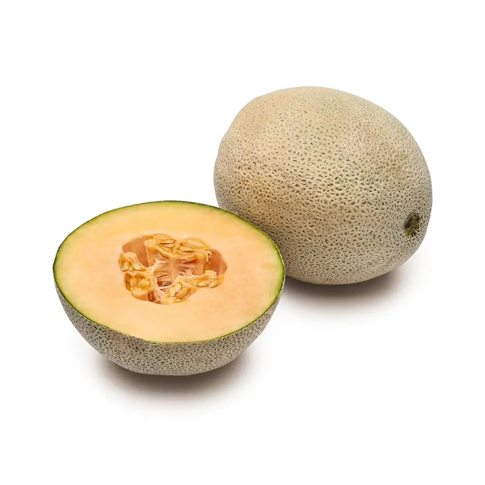 Cantaloupe - Image 1