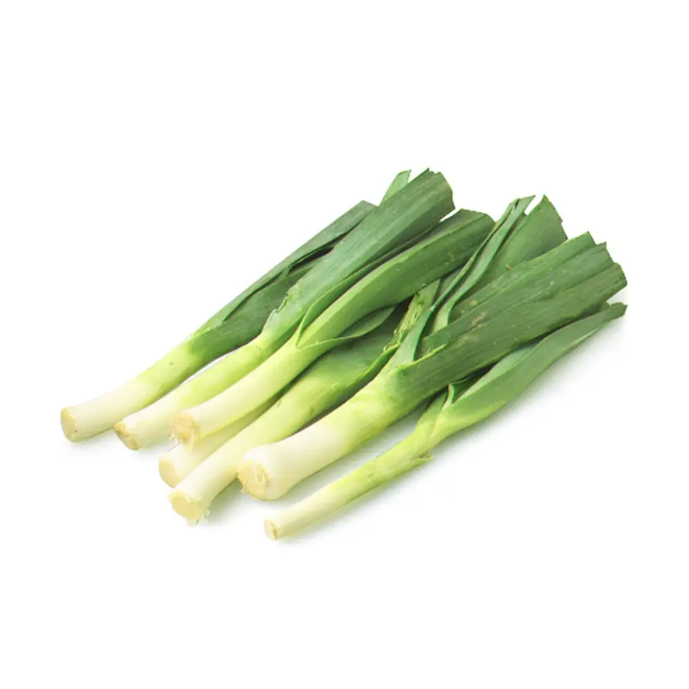 Garden-Fresh Spring Shoots - Image 1