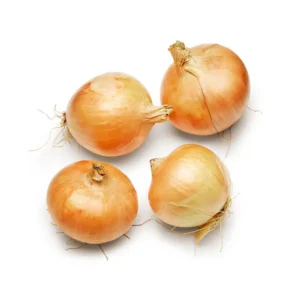 Jumbo Yellow Onion