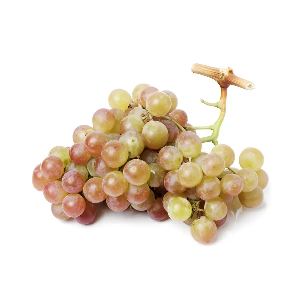 Muscat Grapes - Image 1