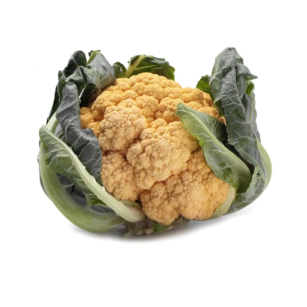 Organic Cauliflower - Image 1