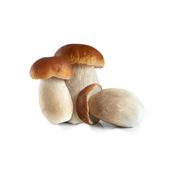 Porcini Mushrooms