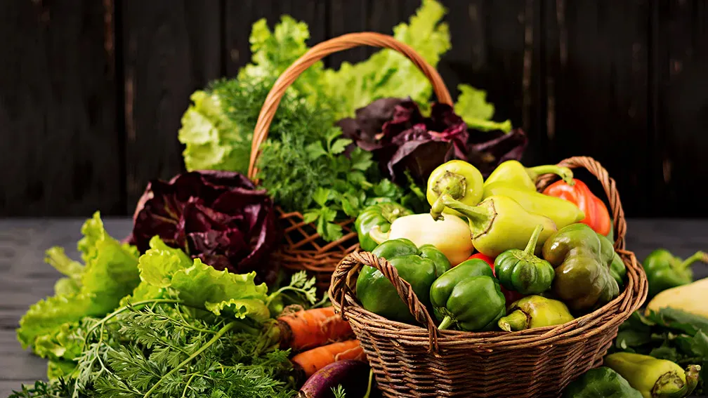 The Best Organic Vegetables for Optimal Nutrition