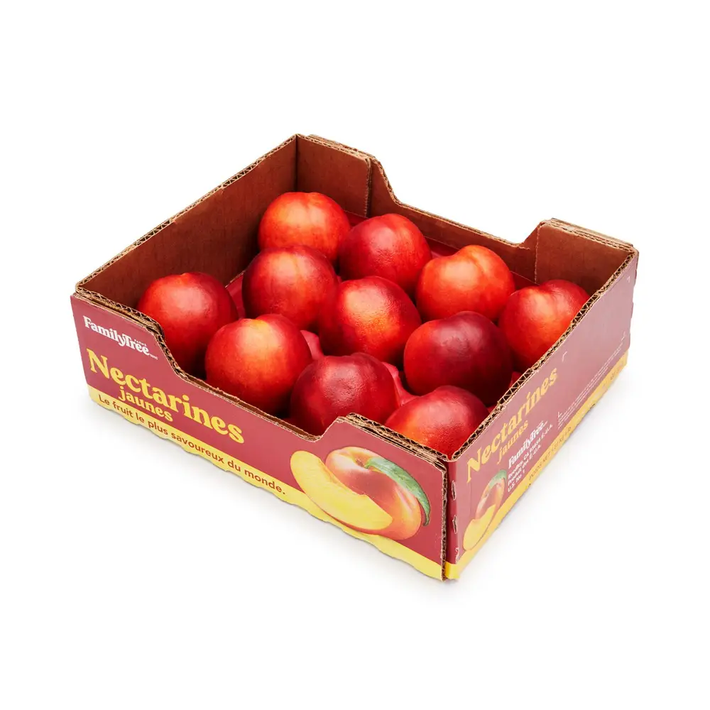 Velvet Ruby Plums - Image 1